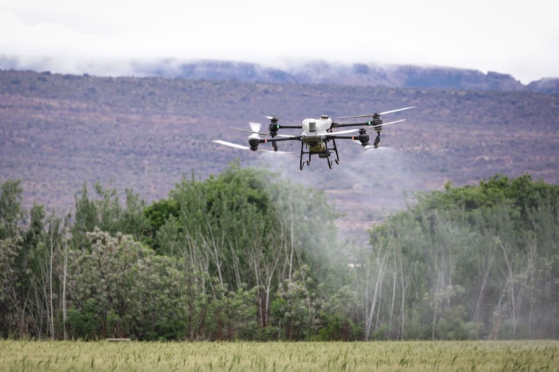 Drone phun thuốc trên cánh đồng
